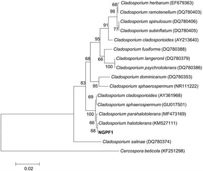 Plant Growth Promotion by Two Volatile Organic Compounds Emitted From the Fungus <mark class="highlighted">Cladosporium halotolerans</mark> NGPF1